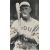 Rogers Hornsby (Rajah)
