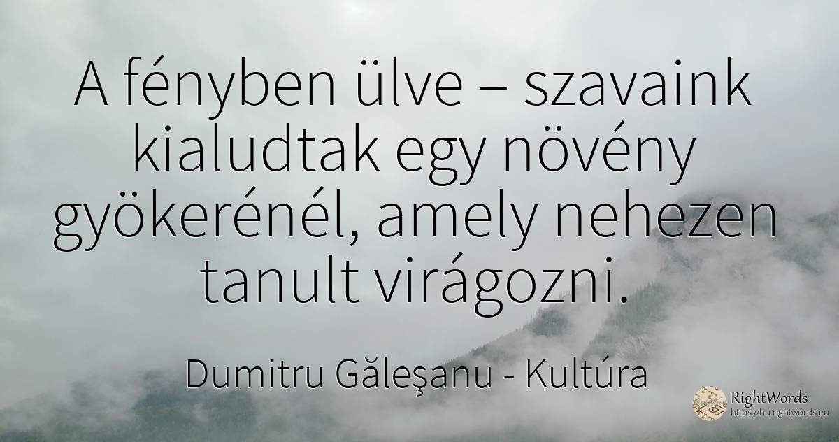 A fényben ülve – szavaink kialudtak egy növény... - Dumitru Găleşanu, idézet kultúra