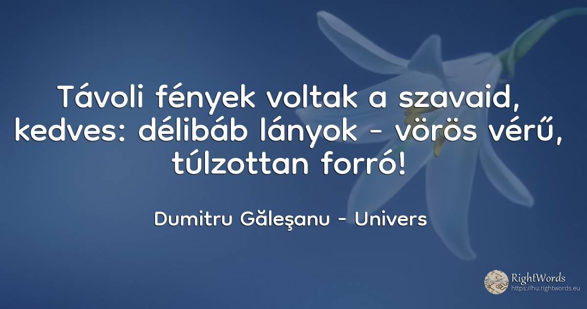 Távoli fények voltak a szavaid, kedves: délibáb lányok -... - Dumitru Găleşanu, idézet univers