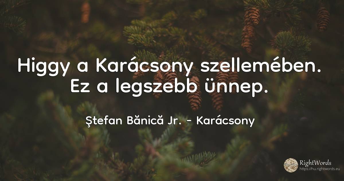 Higgy a Karácsony szellemében. Ez a legszebb ünnep. - Ştefan Bănică Jr., idézet karácsony