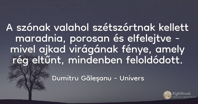 A szónak valahol szétszórtnak kellett maradnia, porosan... - Dumitru Găleşanu, idézet univers