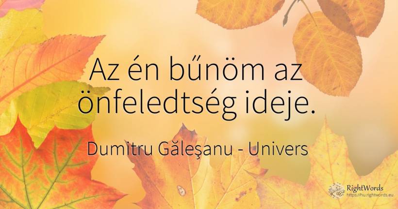 Az én bűnöm az önfeledtség ideje. - Dumitru Găleşanu, idézet univers