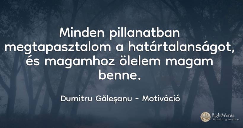 Minden pillanatban megtapasztalom a határtalanságot, és... - Dumitru Găleşanu, idézet motiváció