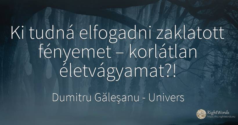 Ki tudná elfogadni zaklatott fényemet – korlátlan... - Dumitru Găleşanu, idézet univers