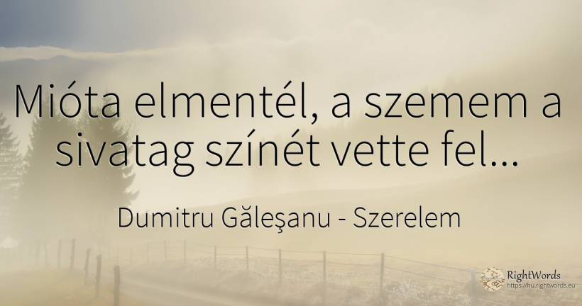 Mióta elmentél, a szemem a sivatag színét vette fel... - Dumitru Găleşanu, idézet szerelem