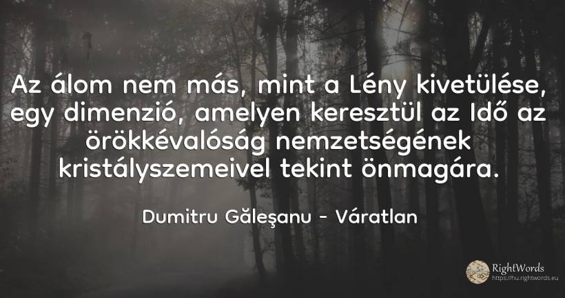 Az álom nem más, mint a Lény kivetülése, egy dimenzió, ... - Dumitru Găleşanu, idézet váratlan