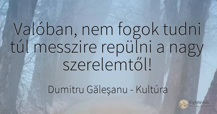 Valóban, nem fogok tudni túl messzire repülni a nagy... - Dumitru Găleşanu, idézet kultúra