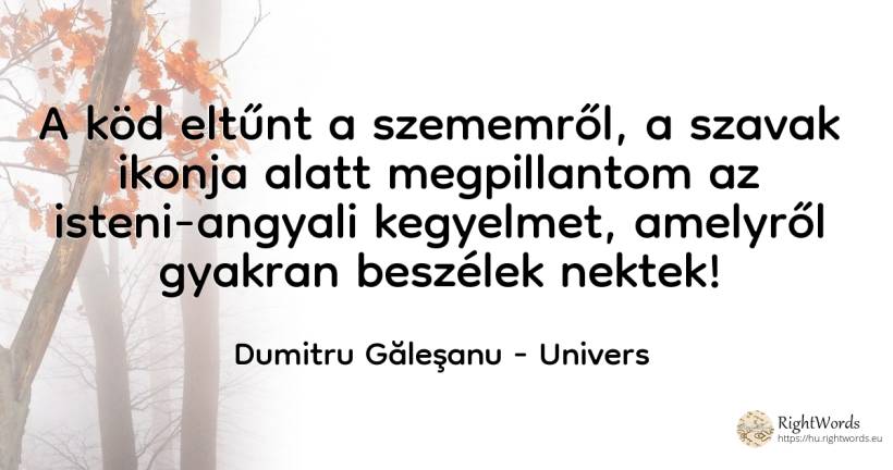 A köd eltűnt a szememről, a szavak ikonja alatt... - Dumitru Găleşanu, idézet univers