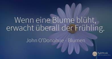 Wenn eine Blume blüht, erwacht überall der Frühling.