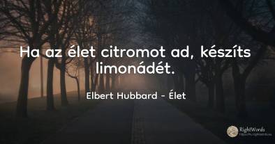 Ha az élet citromot ad, készíts limonádét.