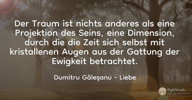 Der Traum ist nichts anderes als eine Illusion, ...